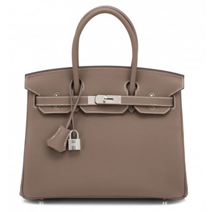 Erin Leather Padlock Handbag - Silver Hardware 25 cm