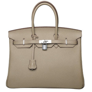 Erin Leather Padlock Handbag - Silver Hardware 25 cm