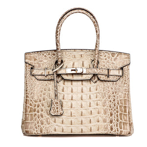 Haden Small Croc Leather Handbag - Silver Hardware 22cm